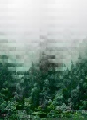 Bridgehill Achieves ISO 9001 And 14001 December 2025