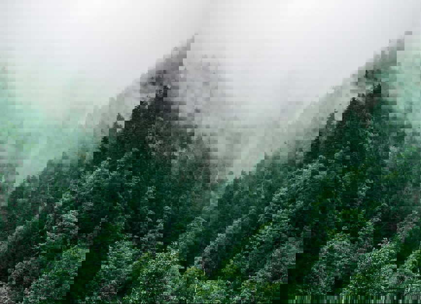 Bridgehill Achieves ISO 9001 And 14001 December 2025